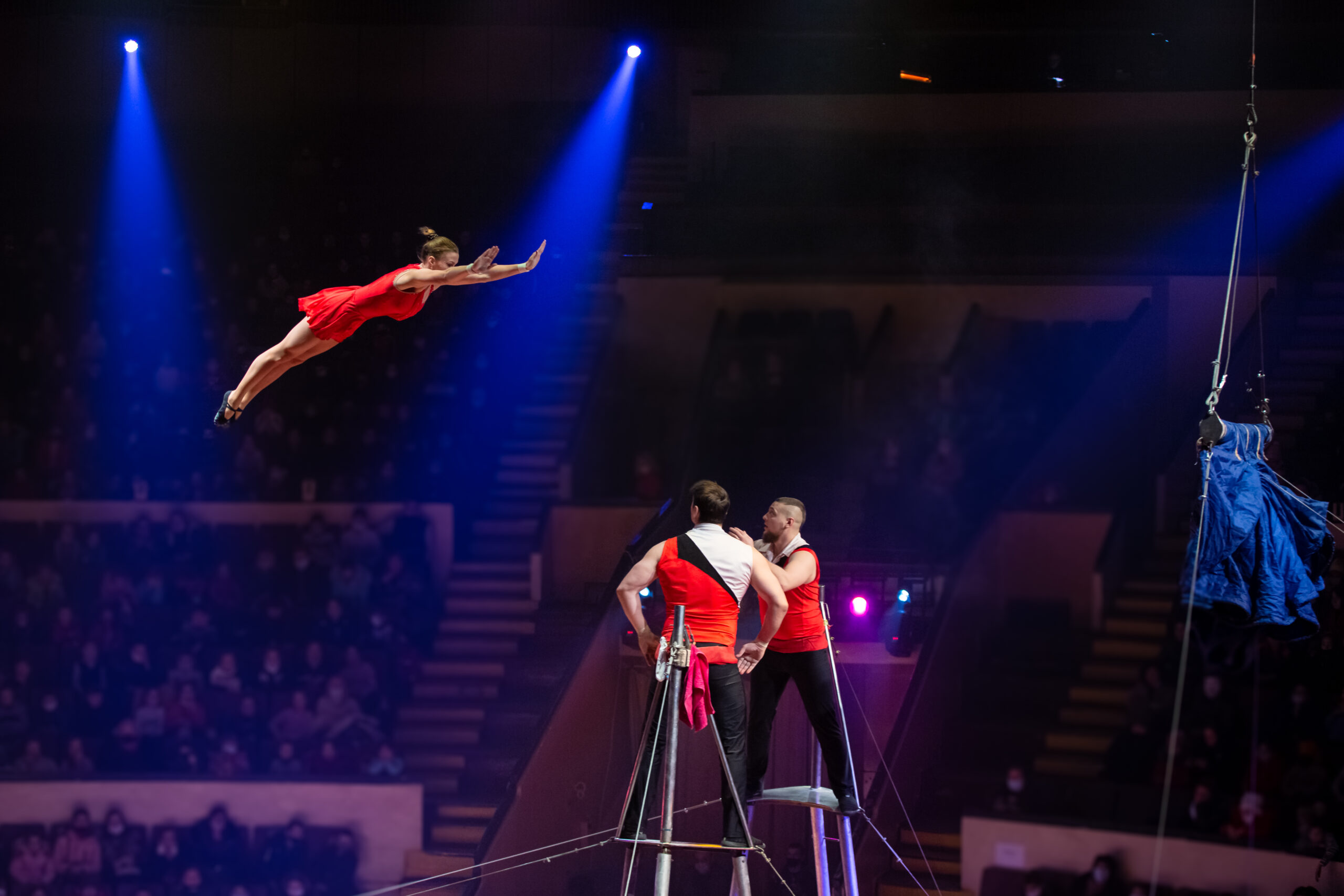 performances of artists at a height under the dome of the circus