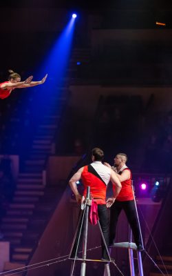 performances of artists at a height under the dome of the circus